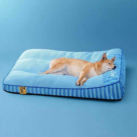 FUNNY FUZZY Cooling Orthopedic Dog Bed XL | Washable | Blue