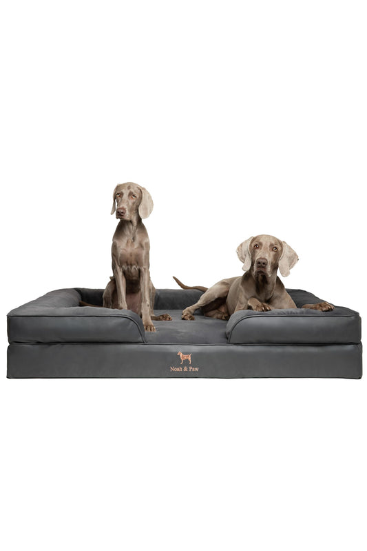 NOAH & PAW XXL Orthopedic Dog Bed | Cooling Gel Foam 55x45"