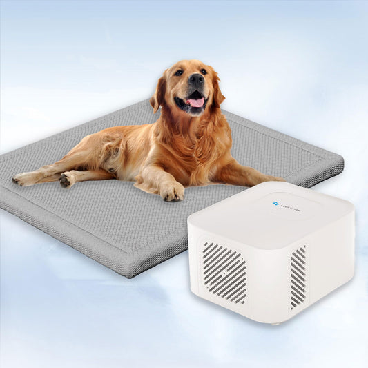 Lucky Tom Pet Cooling Water Mat for Dogs & Cats | XL | Gray