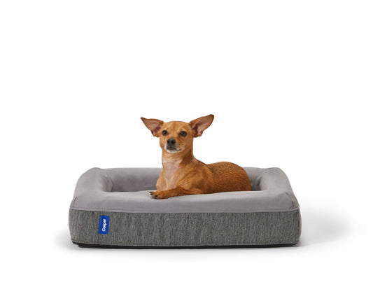 Casper Dog Bed | Plush Memory Foam | Large | Gray